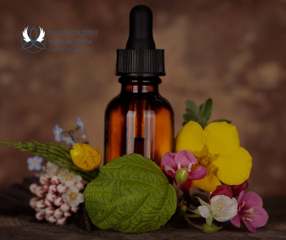 Floriterapia: Come le Essenze Floreali Riequilibrano le Emozioni Floriterapia: Come le Essenze Floreali Riequilibrano le Emozioni